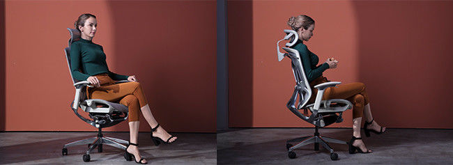 Dvaryの中間の背部人間工学的の椅子のランバー サポートの調節可能な旋回装置のオフィスは4つの議長を務める