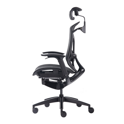 Ergonomic Office Chair With Adjustable Seat Depth  Ergo Sit High Back Mesh Chair