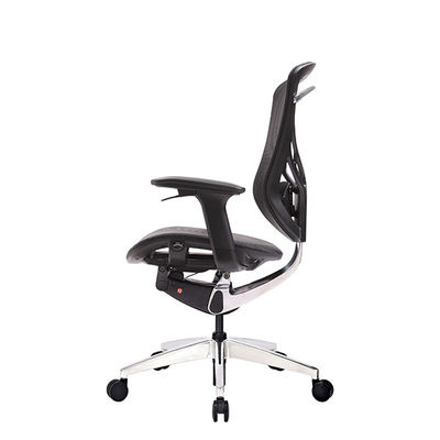 Adjustable Lumbar Support Sliding Seat 3D Armrest Ergo Desk Chair